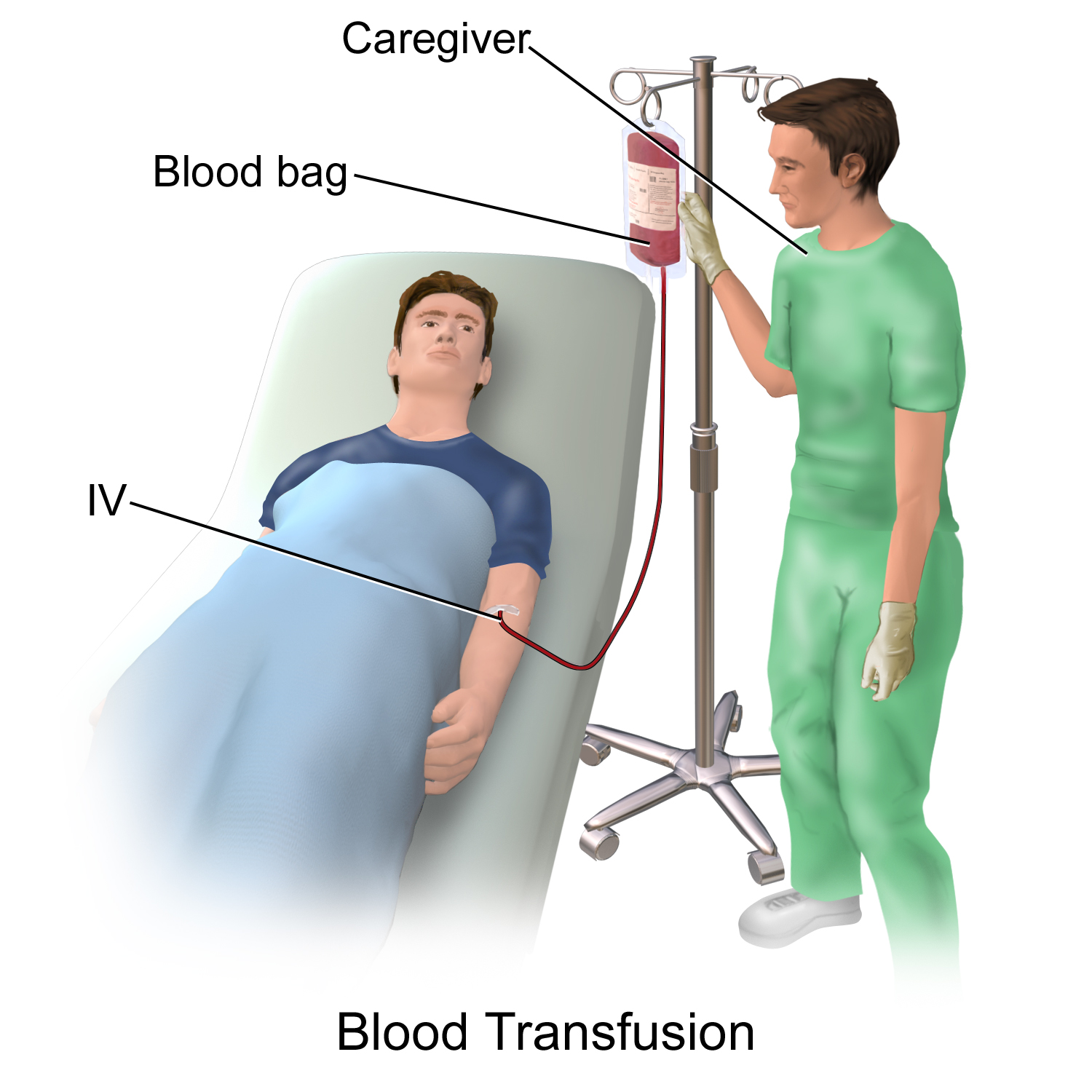 Transfusion Sanguine Fiche Technique Infirmier Pro