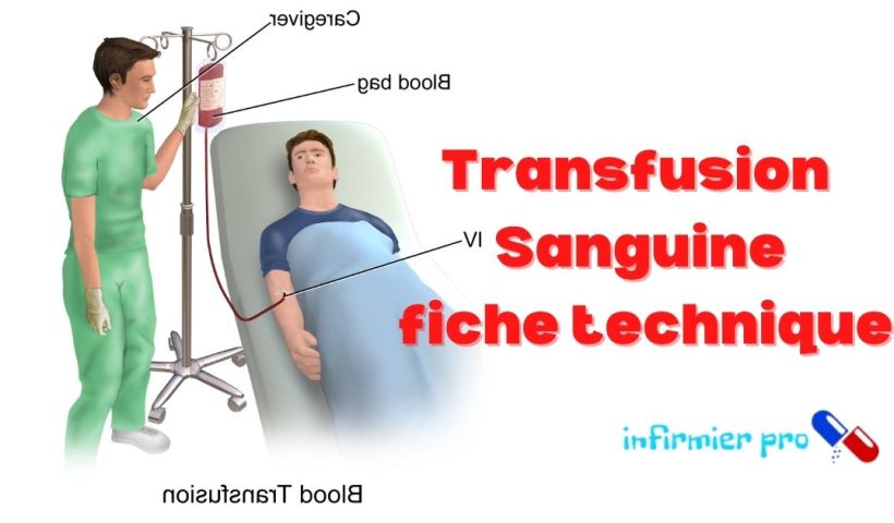 Transfusion-Sanguine-fiche-technique