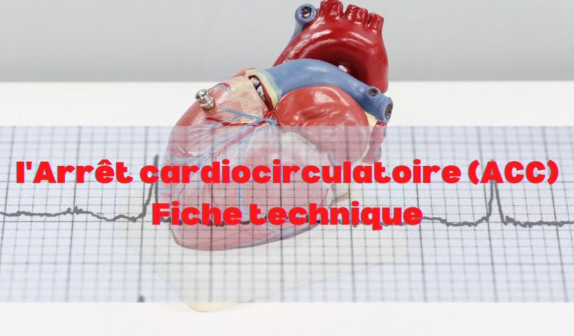 l'Arrêt cardiocirculatoire Fiche technique