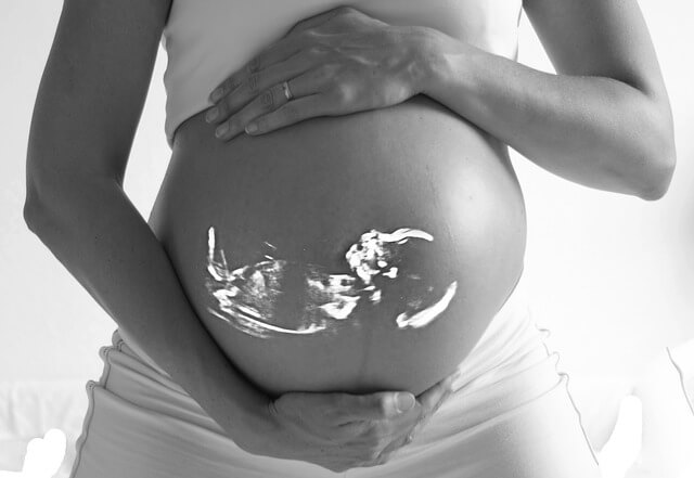 Développement de l’embryon et du fœtus